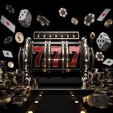 116bet net