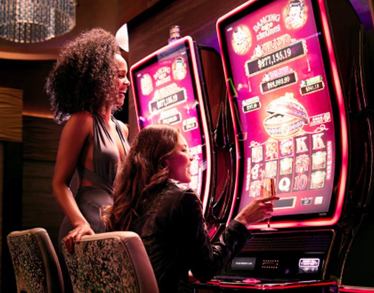 116bet net