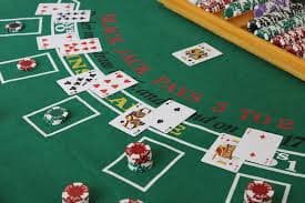 116bet net